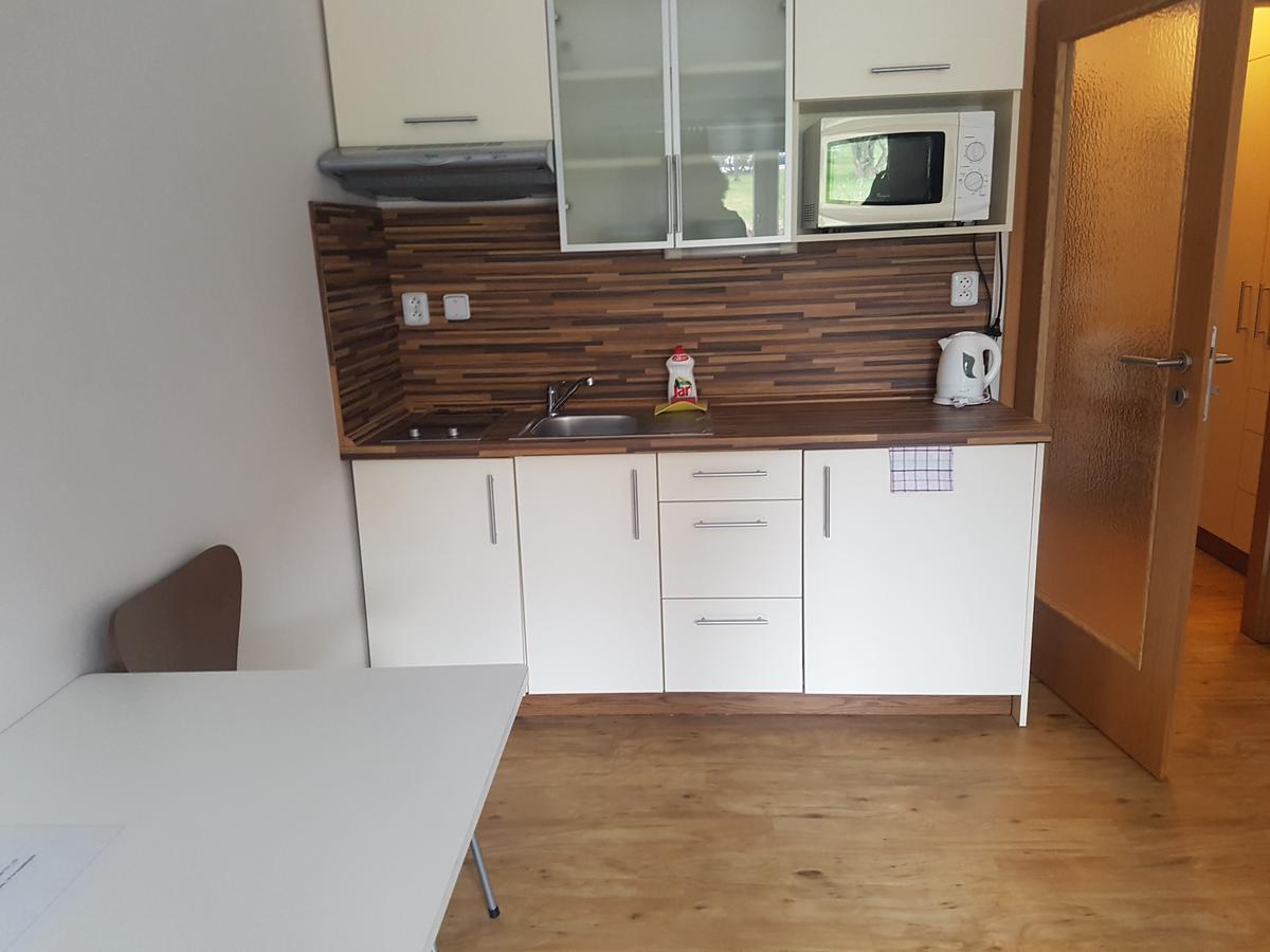 Apartmán 11 Lipno nad Vltavou Exterior foto
